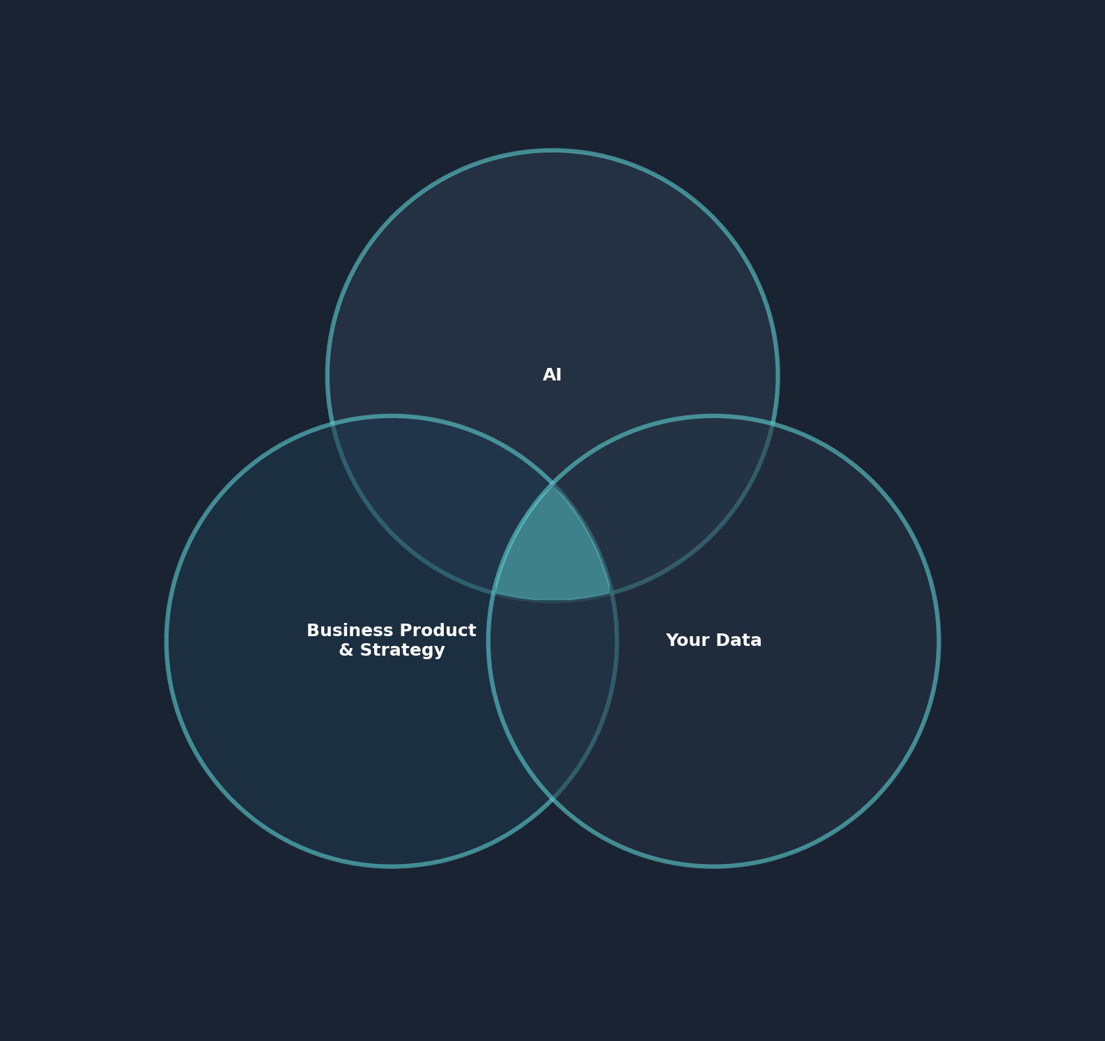 Venn diagram showing the intersection of AI, Business Product & Strategy, and Your Data